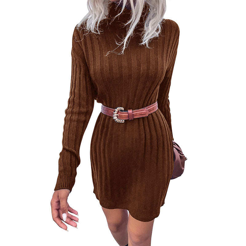 New Autumn And Winter Fashion Women's Pit Strip High Neck Long Sleeve Loose Sweater Dress